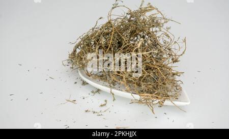 Plantes ayurvédiques séchées Tribulus terrestris isolés sur fond blanc Banque D'Images