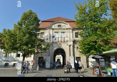 Entrée principale, Charite Virchow-Klinikum, Augustenburger Platz, Wedding, Mitte, Berlin, Allemagne Banque D'Images