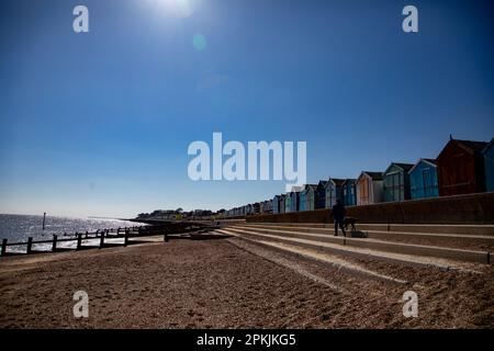 Femme marchant un chien le long de Felixstowe Beach à côté de huttes de plage colorées sous un ciel bleu clair Banque D'Images