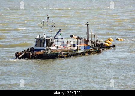 Un bateau de dragage en travaux dans le port de West Bay enlève le sable et les sédiments qui se sont accumulés au cours de l'hiver. West Bay Dorset Angleterre GB Banque D'Images