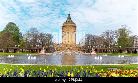 Water Tower (Wasserturm), Mannheim. Fontaine et la Tour de l'eau à la place Friedrichsplatz à Mannheim Banque D'Images