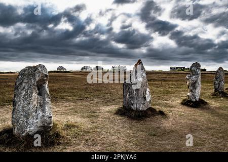 Mégalith cercle de pierres, alignements de Lagatjar près de Finistère Village Camaret sur Mer en Bretagne, France Banque D'Images