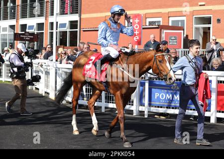 Silky Wilkie, criblé par le jockey Clifford Lee après avoir remporté le Tote World Pool Scottish Sprint Cup Handicap à l'hippodrome de Musselburgh. Banque D'Images