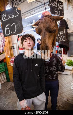 Un jeune garçon américain pose avec une tête de chameau exposée dans un souk de Fès Medina Maroc Banque D'Images