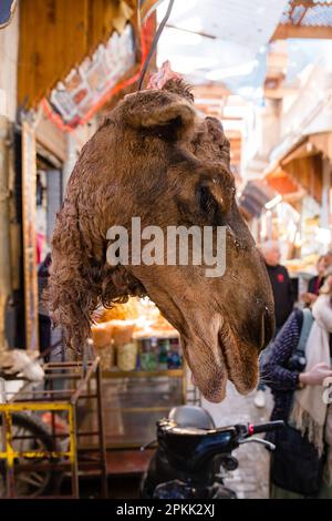 Chameau dans un souk de Fès Medina Maroc Banque D'Images