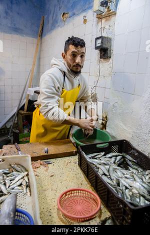 Un homme marocain se prépare à vendre du poisson dans la médina de Fès Banque D'Images