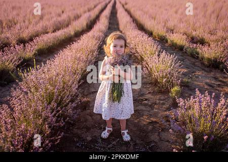 Portrait en gros plan de la petite fille en robe fleurie tenant un bouquet de lavande violette au coucher du soleil. L'enfant se trouve parmi les rangées du champ. Marchez dans le pays Banque D'Images