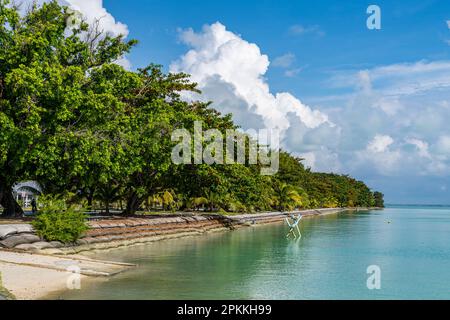 Home Island, îles Cocos (Keeling), territoire australien de l'océan Indien, Australie, Océan Indien Banque D'Images