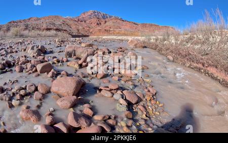 La rivière Paria traverse le Paria Canyon dans le Glen Canyon Recreation Area, Arizona, États-Unis d'Amérique, Amérique du Nord Banque D'Images