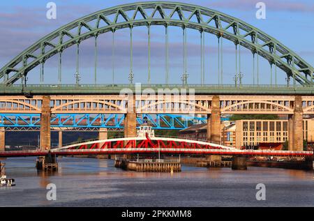 Ponts au-dessus de la rivière Tyne, Newcastle-upon-Tyne, Tyne and Wear, Angleterre, Royaume-Uni, Europe Banque D'Images