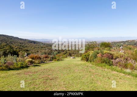 Vue depuis le jardin botanique national de Kirstenbosch du Cap, ouest du Cap, Afrique du Sud. Vue sur le jardin de Protea dans le biome de fynbos Banque D'Images