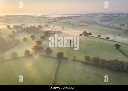 Brume enveloppée campagne d'automne à l'aube, près de Sprayton, Devon, Angleterre, Royaume-Uni, Europe Banque D'Images