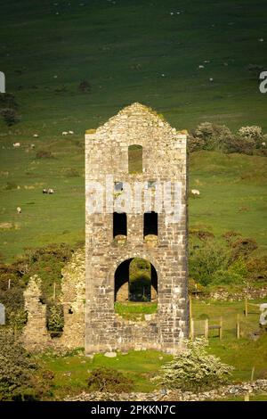 Maison de moteur de mine d'étain abandonnée à Minions sur Bodmin Moor, Cornwall, Angleterre, Royaume-Uni, Europe Banque D'Images