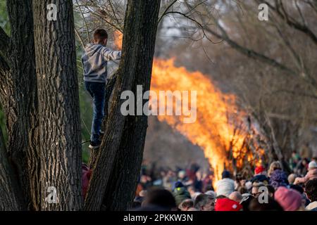 Berlin, Allemagne. 08th avril 2023. D'un arbre, un garçon observe le feu de Pâques dans le jardin de Britz le samedi Saint. Credit: Fabian Sommer/dpa/Alay Live News Banque D'Images