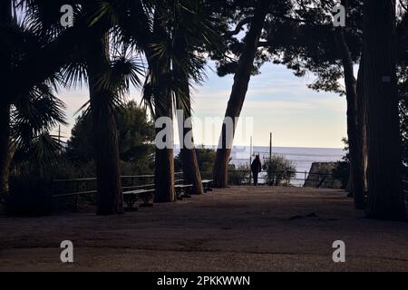 Terrasse avec bancs et pins maritimes dans un parc au bord de la mer au coucher du soleil Banque D'Images