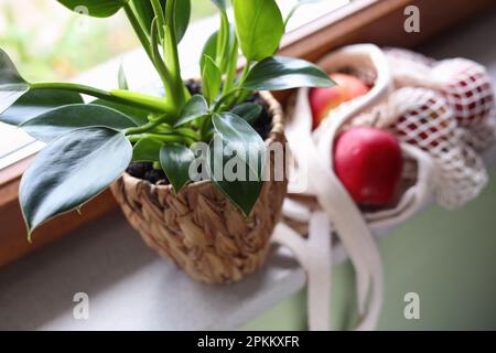 Belle maison verte en pot et sac en maille avec des pommes sur le rebord de fenêtre, gros plan Banque D'Images