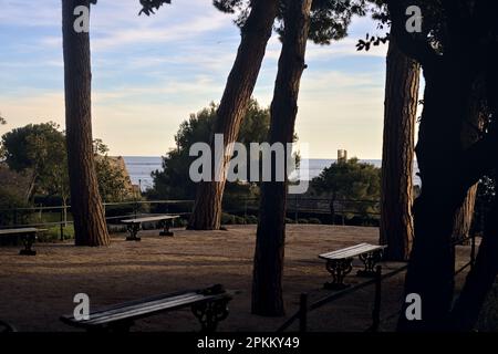 Terrasse avec bancs et pins maritimes dans un parc au bord de la mer au coucher du soleil Banque D'Images