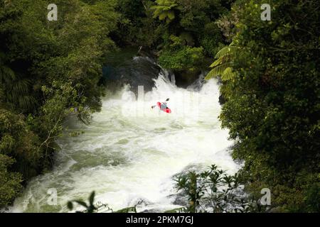 Canoë-kayak en eau vive à Okere Falls, sur l'île nord de la Nouvelle-Zélande Banque D'Images