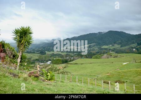 Paysage près de Katikati sur l'île nord de la Nouvelle-Zélande Banque D'Images