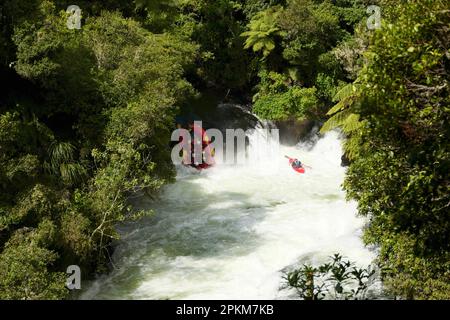 Rafting en eau vive aux chutes d'Okere, sur l'île nord de la Nouvelle-Zélande Banque D'Images