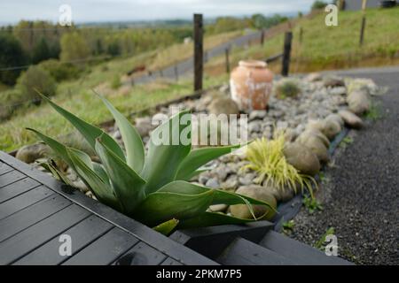 Jardin en pierre près de Katikati sur l'île nord de la Nouvelle-Zélande Banque D'Images