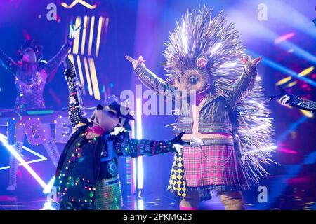 Cologne, Allemagne. 08th avril 2023. Le personnage « The Hedgehog » est sur scène dans le spectacle ProSieben « The masqué Singer ». Credit: Thomas Banneyer/dpa/Alay Live News Banque D'Images