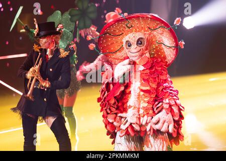 Cologne, Allemagne. 08th avril 2023. Le personnage « The Mushroom » est sur scène dans le spectacle ProSieben « The Mask Singer ». Credit: Thomas Banneyer/dpa/Alay Live News Banque D'Images