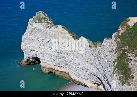 La porte d'Amont (falaise d'Amont) à Etretat (Seine-Maritime), Normandie, France Banque D'Images