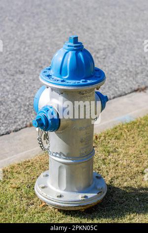 une borne d'incendie aux couleurs argent et bleu avec de l'herbe sur le fond Banque D'Images