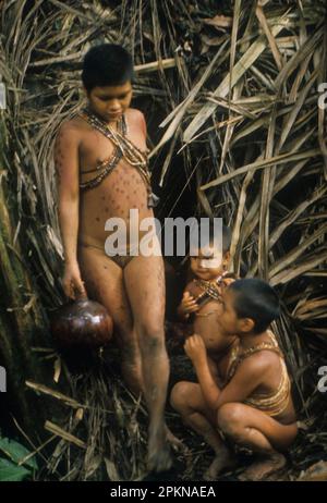 Fille du groupe ethnique Hoti aller chercher de l'eau dans un ruisseau de forêt tropicale, Venezuela, Amérique du Sud. Banque D'Images