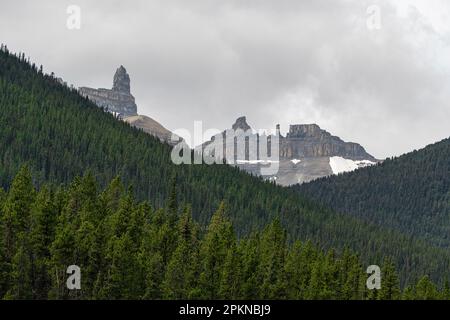 Mont Saskatchewan et Cleopatra's Needle long de la promenade Icefields, parc national Banff, Canada. Banque D'Images