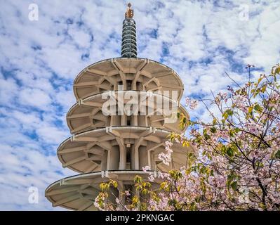 La fleur de cerisier de Sakura au Japantown Peace Plaza, pagode japonaise traditionnelle à San Francisco par une journée nuageux Banque D'Images