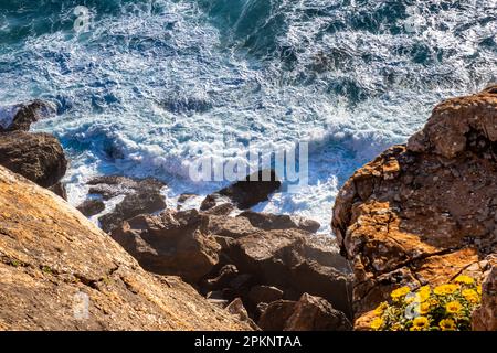 Les vagues s'écrasent contre un rivage accidenté avec une force dangereuse, créant des tourbillons et des écoulements dangereux dans les eaux en dessous, avec des fleurs ajoutant de la couleur. Banque D'Images