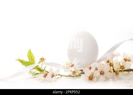 Oeuf de Pâques blanc avec une branche de fleurs de fruits sauvages sur un fond clair, carte de vœux de vacances, espace de copie, foyer sélectionné, profondeur de champ étroite Banque D'Images