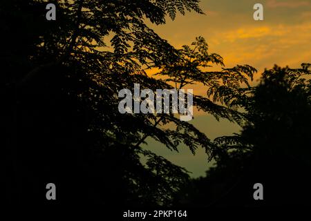 Paysage magnifique avec coucher de soleil spectaculaire après la soirée. La soirée se termine généralement après le coucher du soleil. C'est quand le soleil commence à s'abaisser dans les s. Banque D'Images