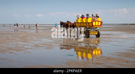 Calèche sur les vasières, Parc national de la Mer des Wadden en Basse-Saxe, Cuxhaven, Basse-Saxe, Allemagne, Europe Banque D'Images