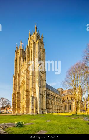 Beverley Minster. Yorkshire de l'est. Belle église gothique. Construit avec Tadcaster York Limestone 1190 à 1420.York Diocèse. Église Saint-Jean et Saint-Martin. Banque D'Images