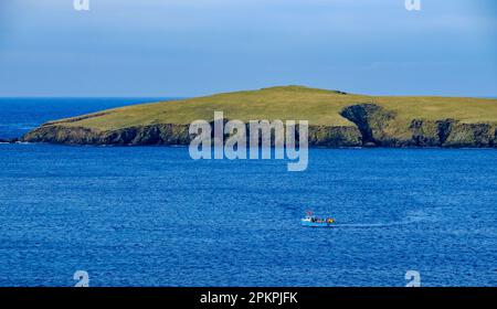 La côte Shetland au point de vue de la plage de Rerwick avec un petit bateau de pêche au premier plan Banque D'Images