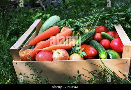 Une agricultrice tient une boîte en bois pleine de légumes frais crus. Panier de légumes (carottes, concombres, poivrons, pommes, courges, persil) dans votre Banque D'Images