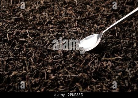 Une cuillère à café qui ramasse le thé noir à feuilles volantes et qui est examinée en détail. Gros plan, vue inclinée Banque D'Images