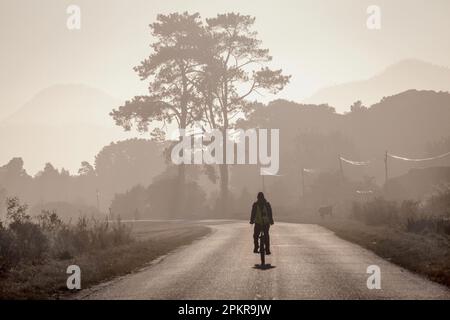 Un cycliste en début de matinée se bruine sur la route du petit village de Coldstream, près du début du col de Bloukrans. Banque D'Images