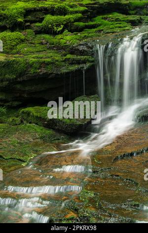 Courant de printemps à Shays Run au parc national de Blackwater Falls, à l'extérieur de Davis, en Virginie-Occidentale Banque D'Images