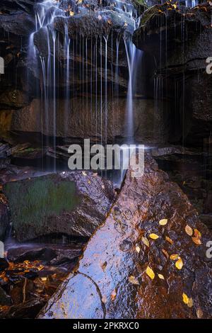 Courant de printemps à Shays Run au parc national de Blackwater Falls, à l'extérieur de Davis, en Virginie-Occidentale Banque D'Images