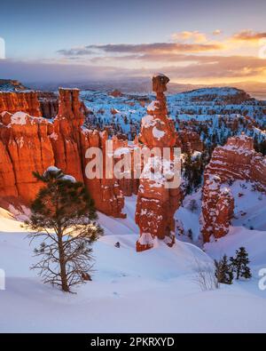 Vue d'hiver sur Thor's Hammer au parc national de Bryce Canyon dans l'Utah Banque D'Images