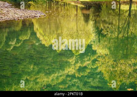 La couleur du début de l'automne se reflète dans la branche nord sud de la rivière Potomac sous les rochers Seneca en Virginie occidentale Banque D'Images