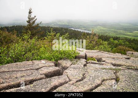 vue de brouillard de Cadillac Mountain dans le parc national Acadia près de Bar Harbor dans le Maine Banque D'Images