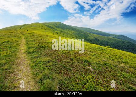 chemin raide en haut de la colline. paysage de montagne de carpathian en été. difficile de réussir concept Banque D'Images