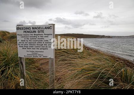 Panneau près de Stanley dans les îles Falkland avertissement de reproduction de la colonie de pingouins Magellanic. Banque D'Images