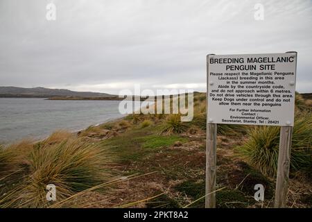 Panneau près de Stanley dans les îles Falkland avertissement de reproduction de la colonie de pingouins Magellanic. Banque D'Images