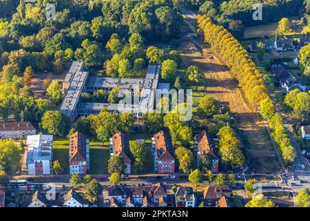 Vue aérienne, Otto-Hahn-Gymnasium Herne avec route de construction à Hölkeskampring dans le district de Sodingen à Herne, région de la Ruhr, Rhénanie-du-Nord-Westphalie, Banque D'Images